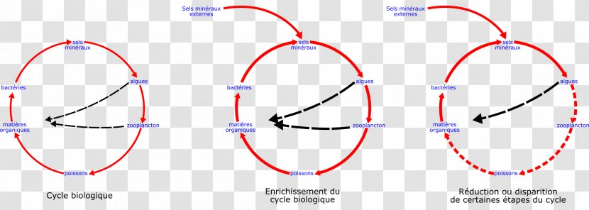 Circle Point Angle - Plot Transparent PNG
