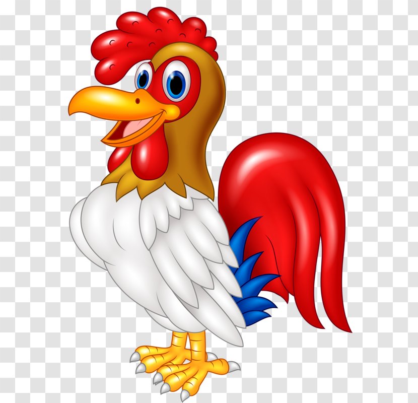 Chicken Rooster Caricature - Frame - Vector Transparent PNG