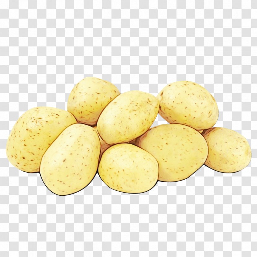 Potato Food Yukon Gold Solanum Plant - Russet Burbank Vegetable Transparent PNG