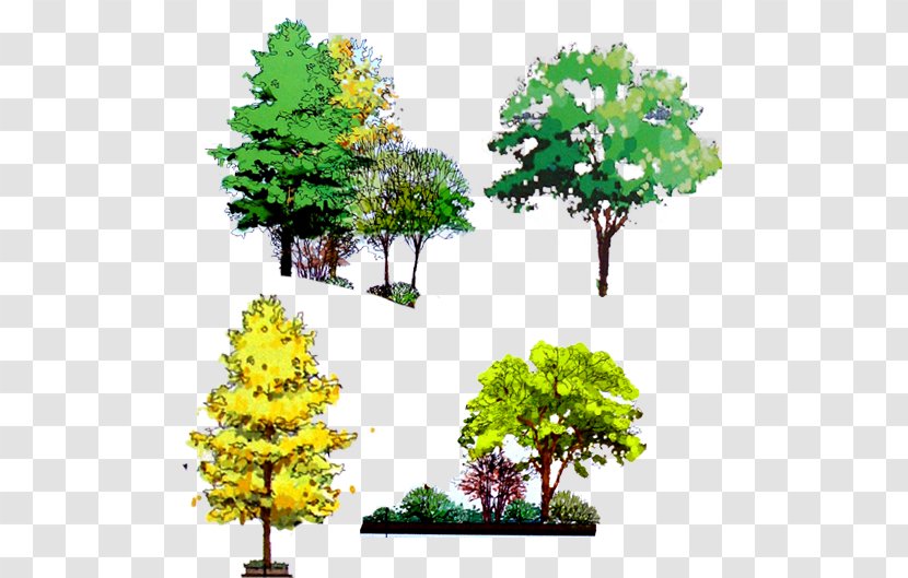 Tree Computer File - Watercolor Painting - Decorative Trees Transparent PNG