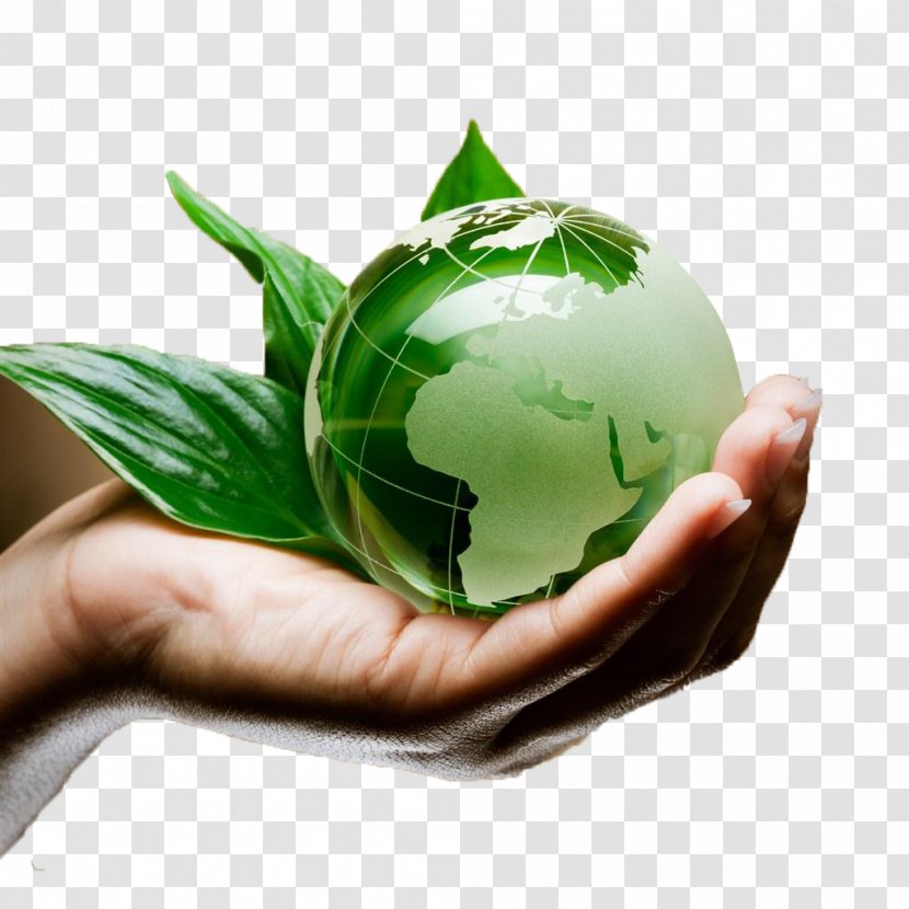 Laudato Si Ecology PrimeEnergy Cleantech SA Website Lent - Small Green Planet Transparent PNG