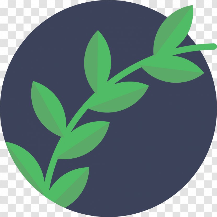 Logo Symbol Fruit - Leaf - Green Transparent PNG