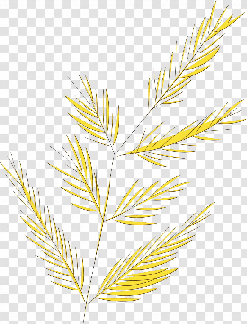 Twig Plant Stem Leaf Line Art Grasses Transparent PNG