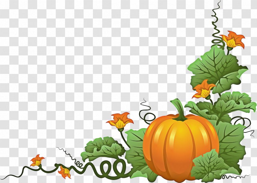Halloween Orange Background - Pumpkin - Flower Vegetarian Food Transparent PNG