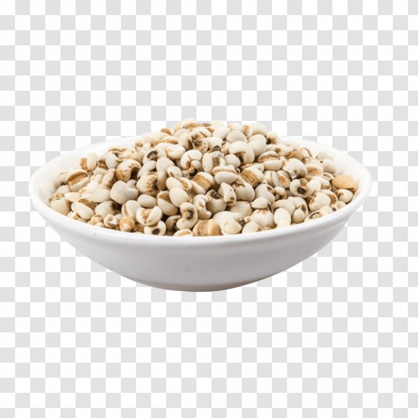Bowl Coix Lacryma-jobi Grain Cereal Barley - Commodity Transparent PNG