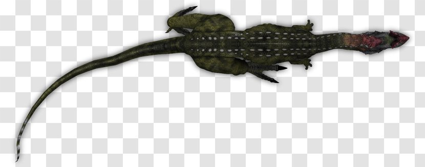 Lizard Amphibian Crocodiles Tail Animal Transparent PNG