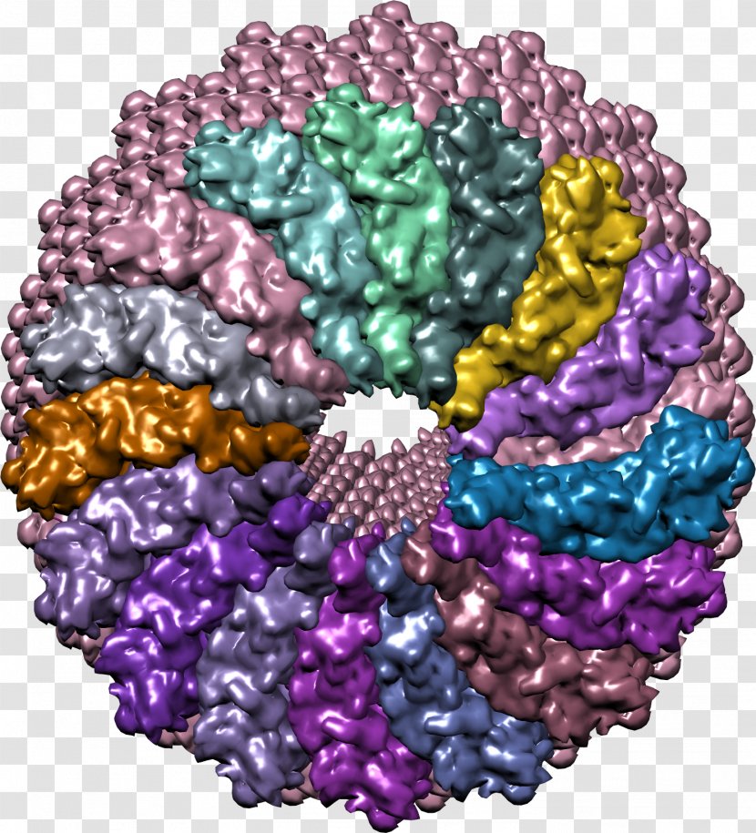 Bead - Jewellery - Worm Virus Transparent PNG