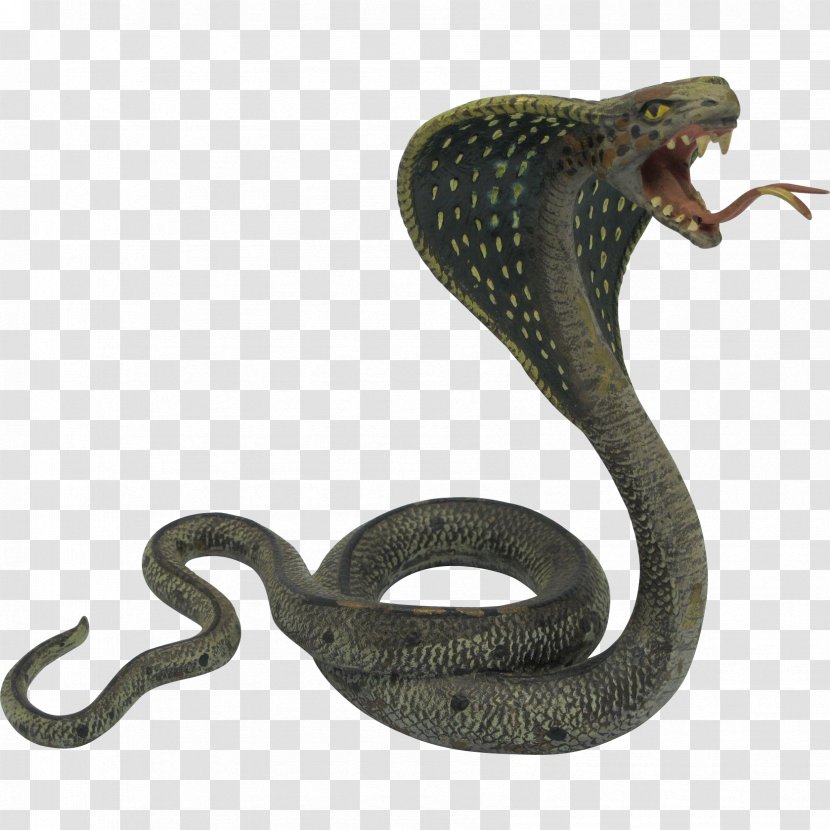 Indian Cobra Snake King - Scaled Reptile - Photos Transparent PNG