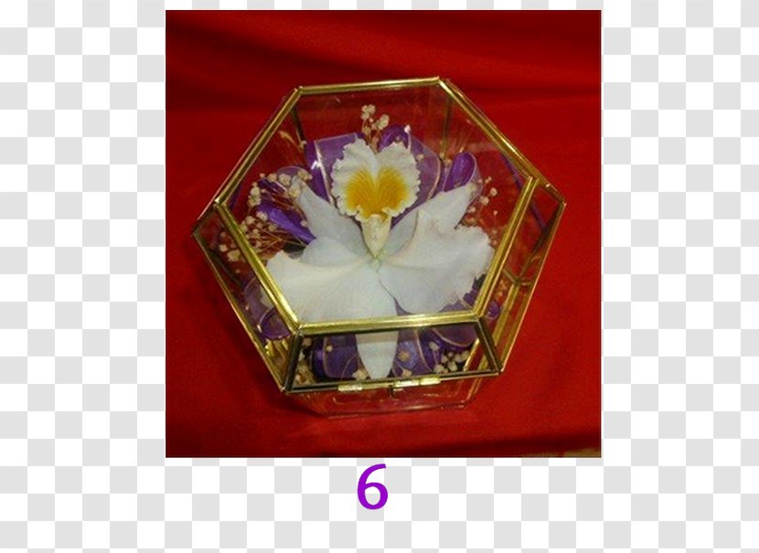 Florería Alamos Petal Porcelain Rectangle Orchids - Orquideas Transparent PNG
