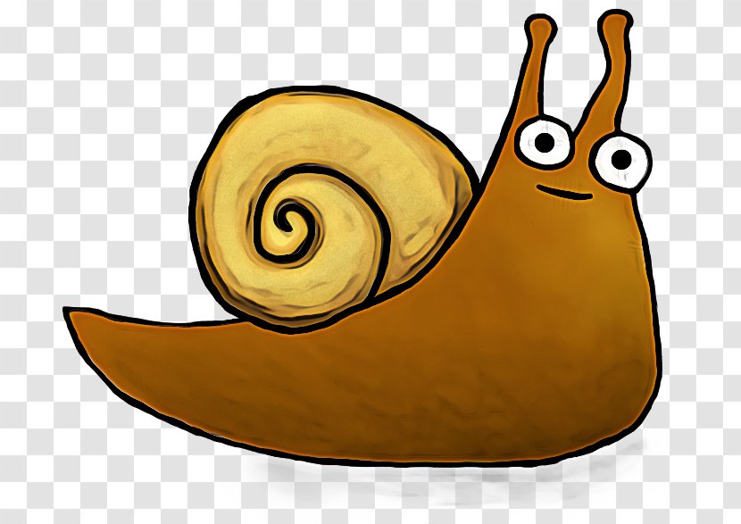 Snail Cartoon - Highdefinition Television - Lymnaeidae Slug Transparent PNG