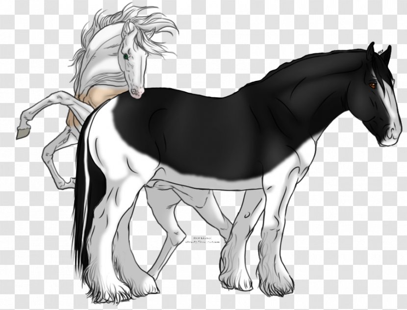 Stallion Mustang Shire Horse Foal Pony - Rearing Transparent PNG