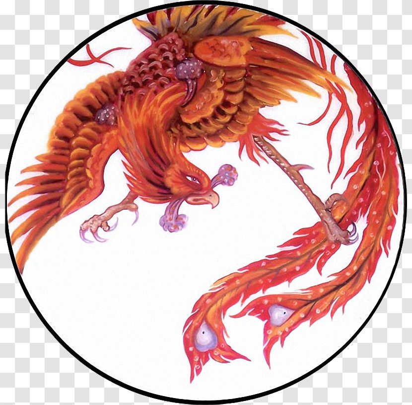 Phoenix Drawing Fenghuang Tattoo Vermilion Bird - Fictional Character Transparent PNG