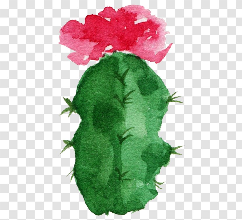 Paper Cactaceae Watercolor Painting Succulent Plant - Rose Family - Sen Department Aesthetic Cactus Transparent PNG