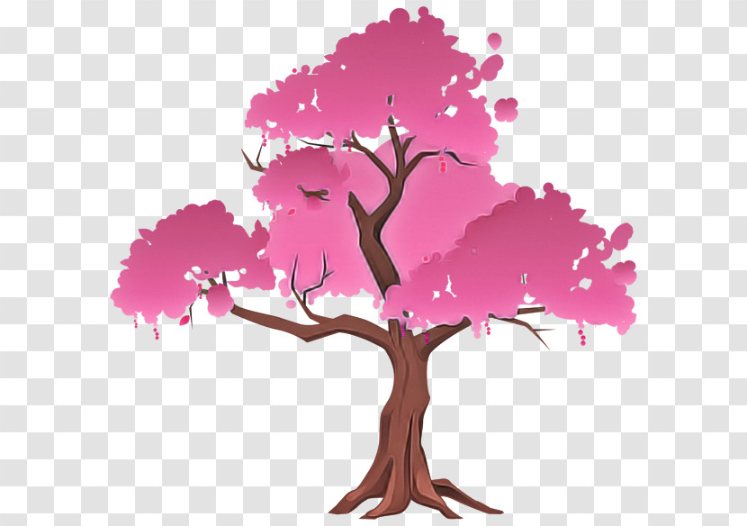 Tree Pink Plant Woody Plant Branch Transparent PNG