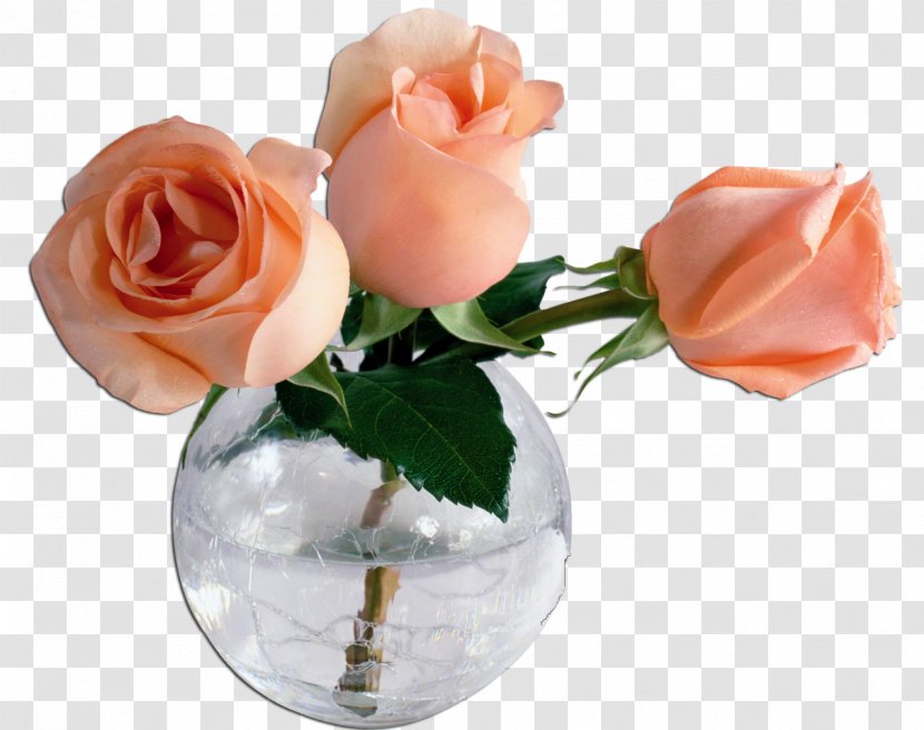 Vase Garden Roses Flower Floral Design - Highdefinition Television Transparent PNG