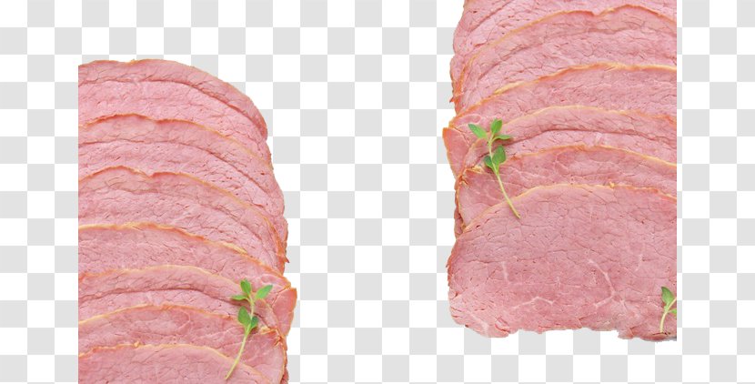 Ham Back Bacon Beef - Tree - Meat Transparent PNG