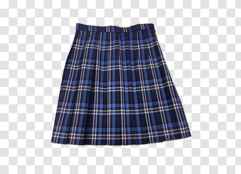 Skirt Tartan Pleat A-line Shorts - Waist - Woman Transparent PNG