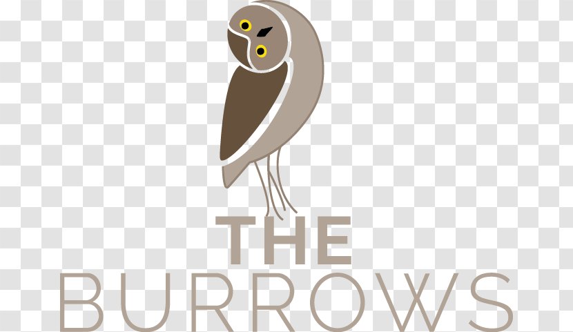Owl Royal LePage Westwin Realty Amanda Mitchell Logo - Bird Of Prey Transparent PNG