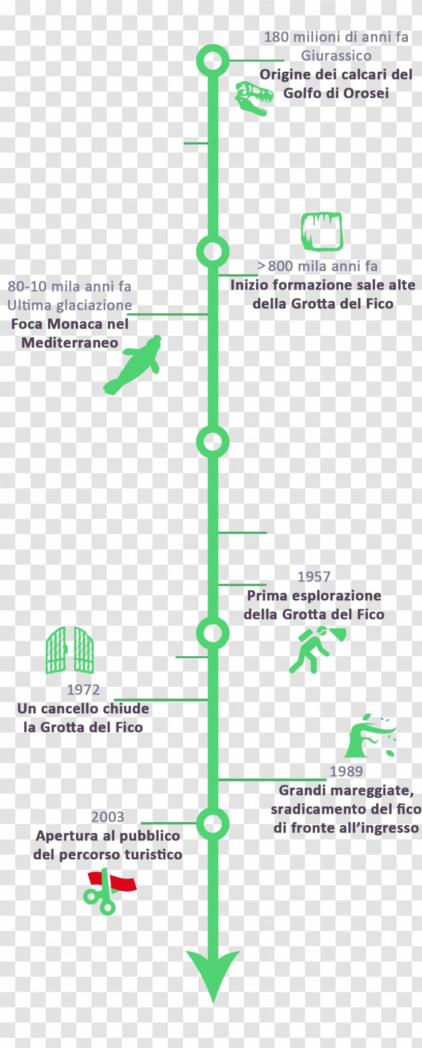 Product Design Line Angle - Diagram Transparent PNG