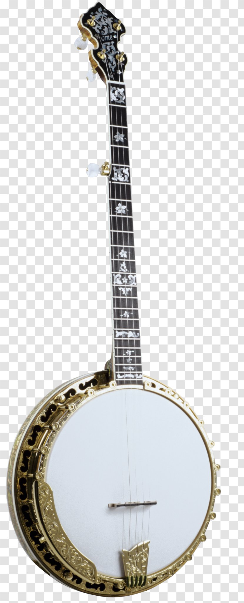 Banjo Guitar Uke Cavaquinho Tiple Transparent PNG