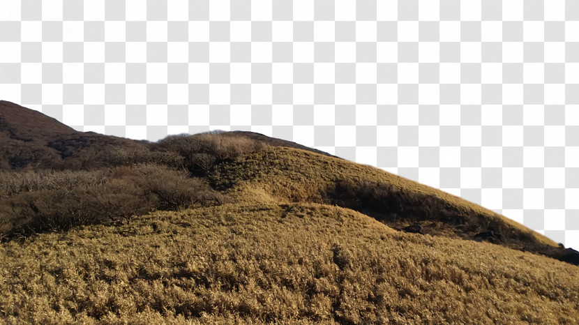 Ecoregion Shrubland Soil Grassland Rock Transparent PNG