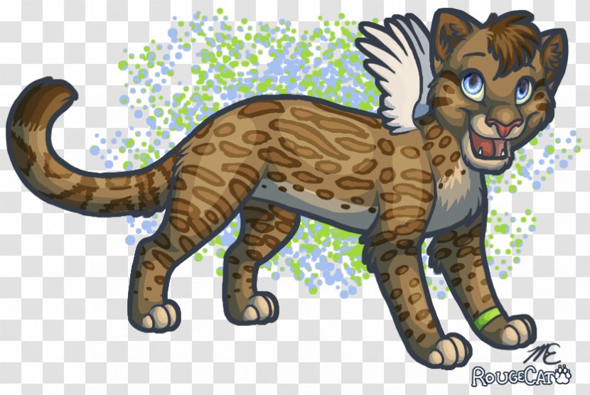 Whiskers Cat Ocelot Cheetah Leopard - Fauna Transparent PNG