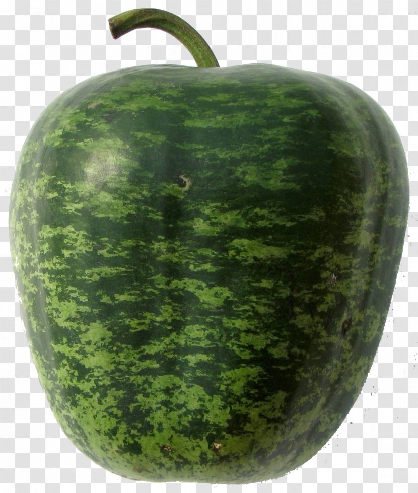 Wax Gourd Watermelon Cucumber Pumpkin Transparent PNG