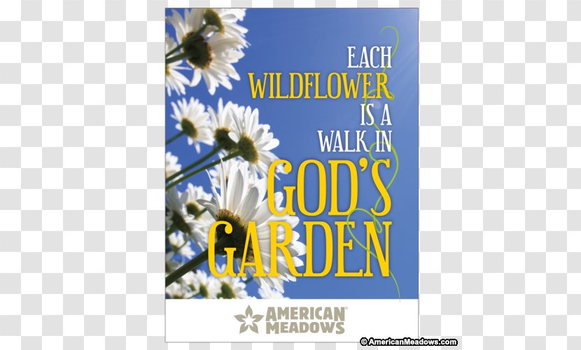Floral Design Seed Company Flower Butterfly Gardening - Poster - American Event Transparent PNG