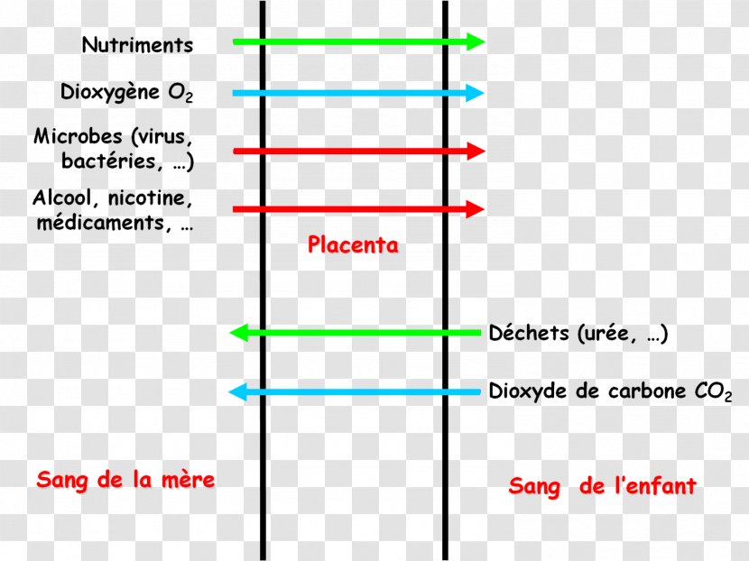 Line Angle Diagram - Number Transparent PNG