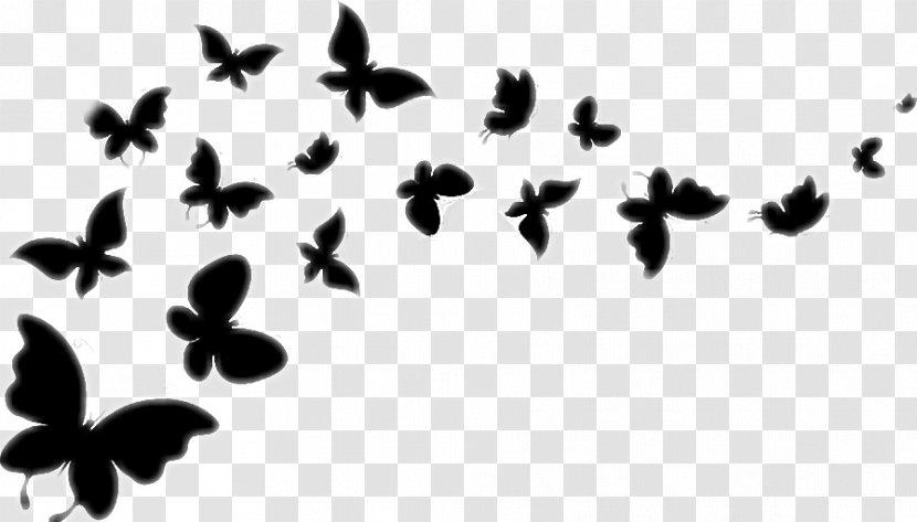 Butterfly Vector Graphics Clip Art Image - Silhouette Transparent PNG