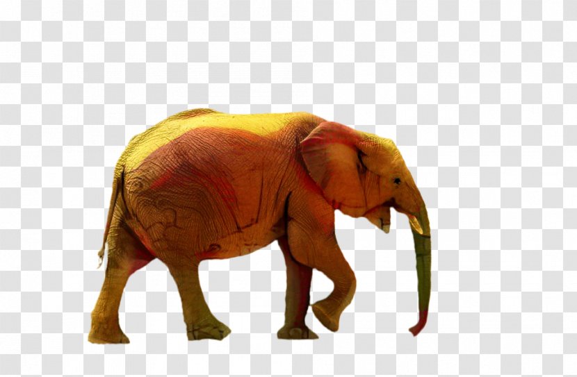 Indian Elephant African Bush Drawing Animal - Ganesha - Stock Photography Transparent PNG
