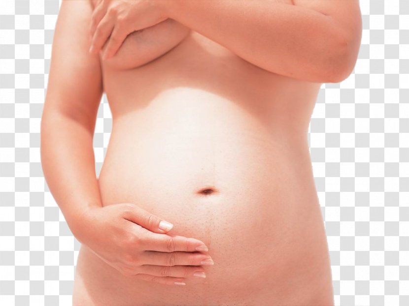 Abdomen Pregnancy Mother Woman - Tree - Pregnant Woman,belly,pregnancy,Mother,Pregnant Transparent PNG