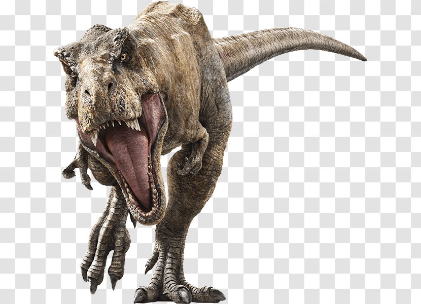 Tyrannosaurus Velociraptor Universal Pictures Jurassic Park Baryonyx - Dinosaur - World: Fallen Kingdom Transparent PNG