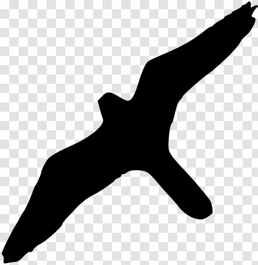 Bird Of Prey Peale's Falcon Wikipedia - Albatross Transparent PNG