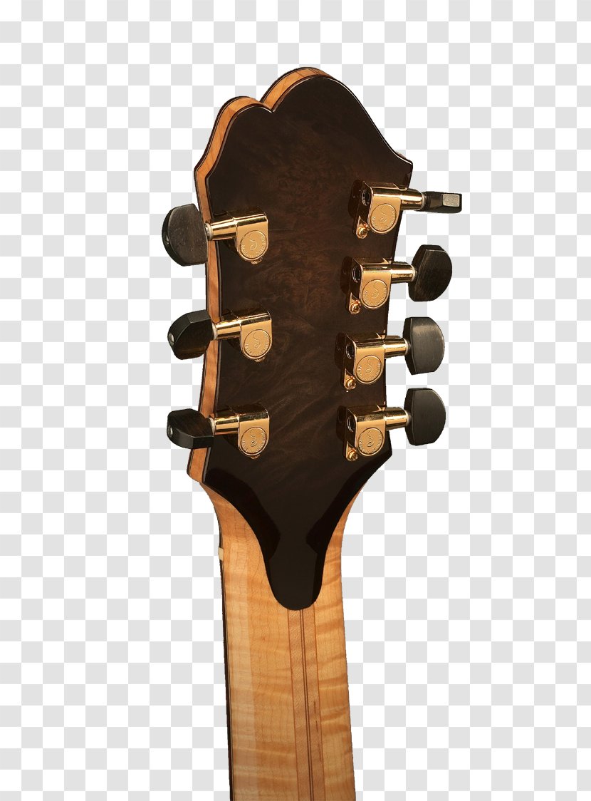 Acoustic Guitar Acoustic-electric Shoe - Tree Transparent PNG