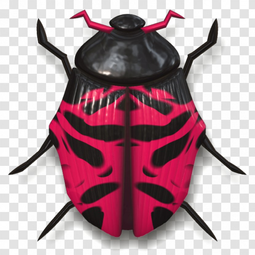 Beetle Ladybird Photography - Insect Transparent PNG