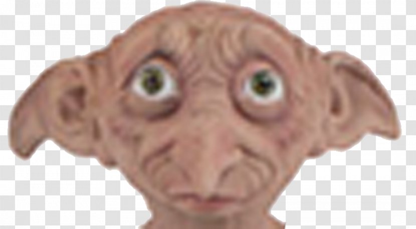 Dobby The House Elf Harry Potter And Chamber Of Secrets Hogwarts Snout - Head Transparent PNG