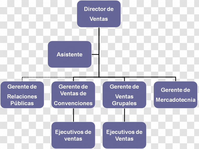 Organizational Chart Empresa Benta Public Relations - Manager - Hotel Transparent PNG