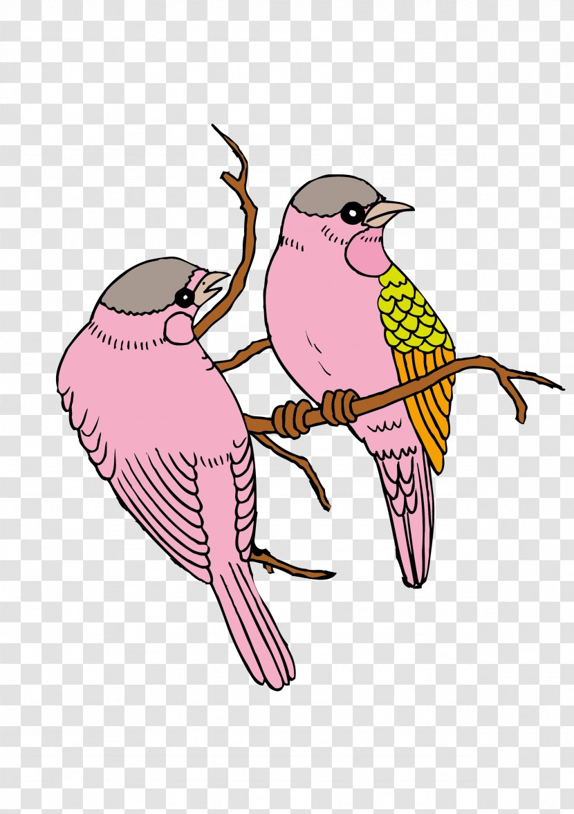 Bird Euclidean Vector - Pattern - One Pair Of Birds In The Branches Called Cha Transparent PNG