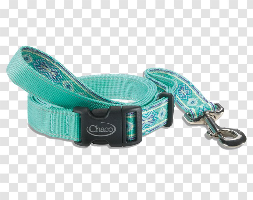 Leash Dog Collar Paloma - Collars Transparent PNG