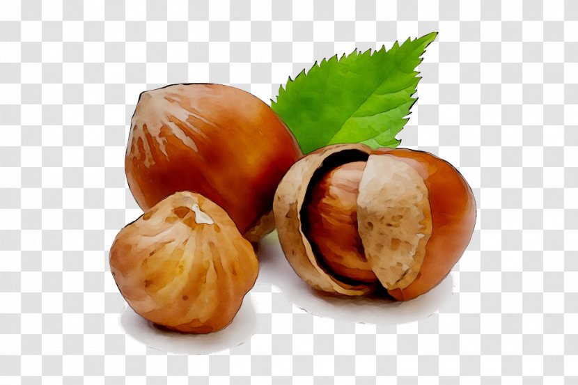 Hazelnut Health Food - Roasting - Beslenme Transparent PNG