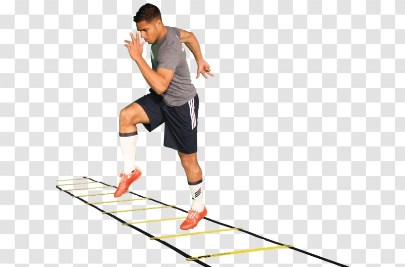 Agility Exercise Ladder Sport Skill - Joint - Action Sports Transparent PNG