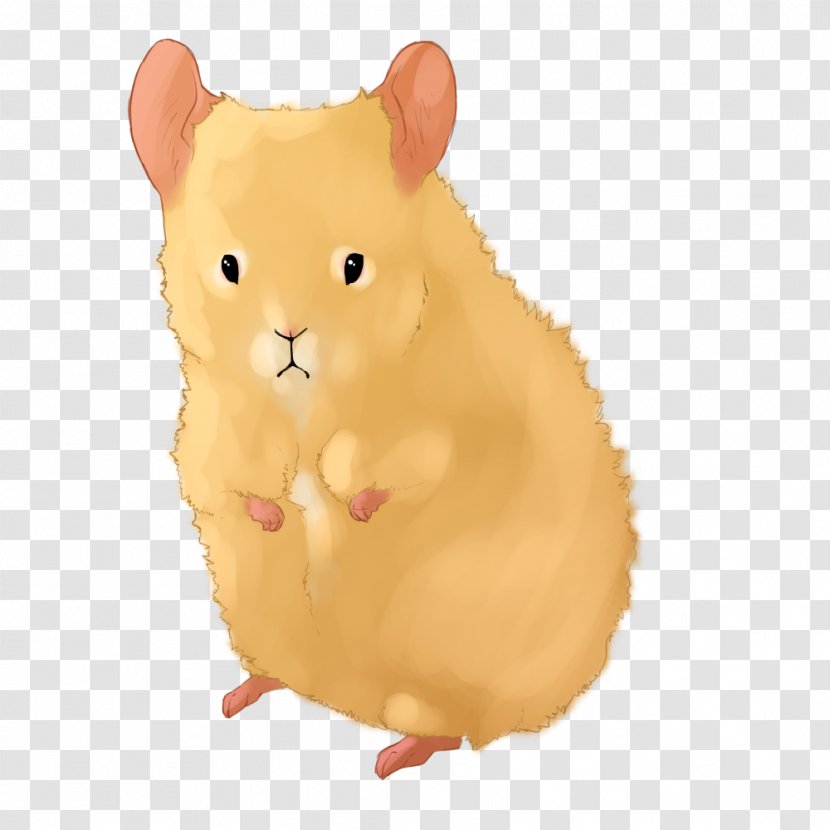 Rodent Hamster Mouse Murids Rat - Muroidea Transparent PNG