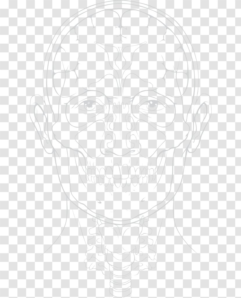 Visual Arts Drawing Sketch - Face - Anatomy Transparent PNG