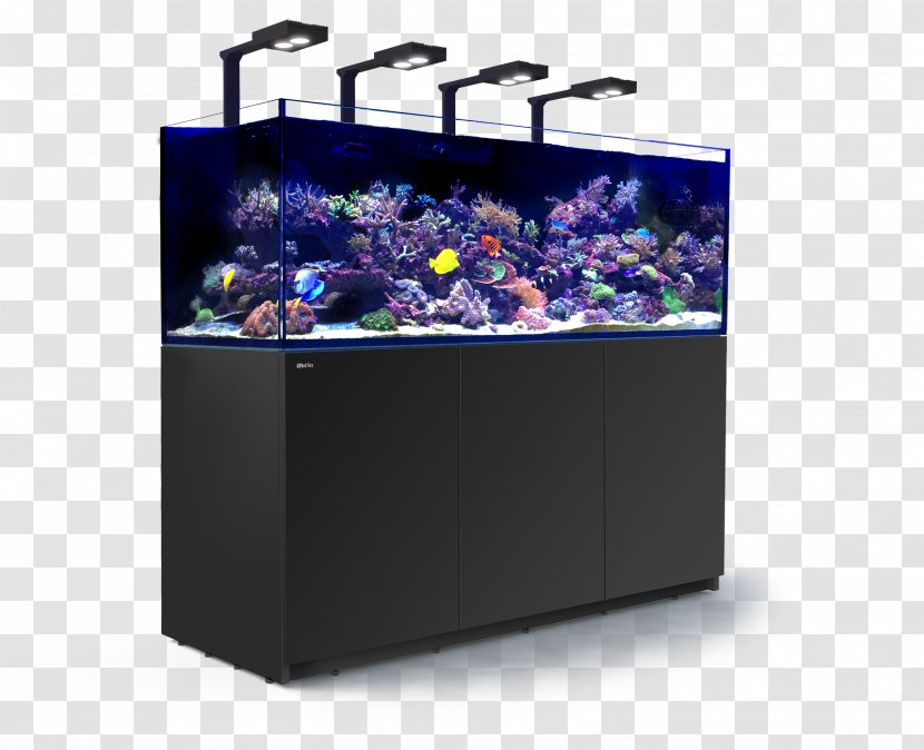 Red Sea REEFER Peninsula Reef Aquarium - Glass - Coral Transparent PNG