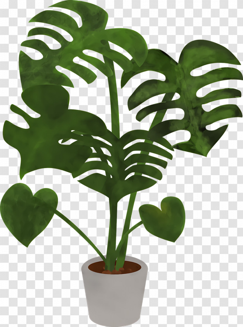 Leaf Plant Stem Houseplant Flowerpot Tree Transparent PNG