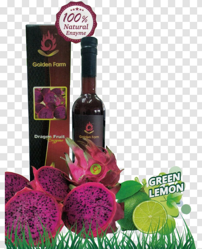 Liqueur Pitaya Fruit Enzyme Agriculture - Bottle Transparent PNG