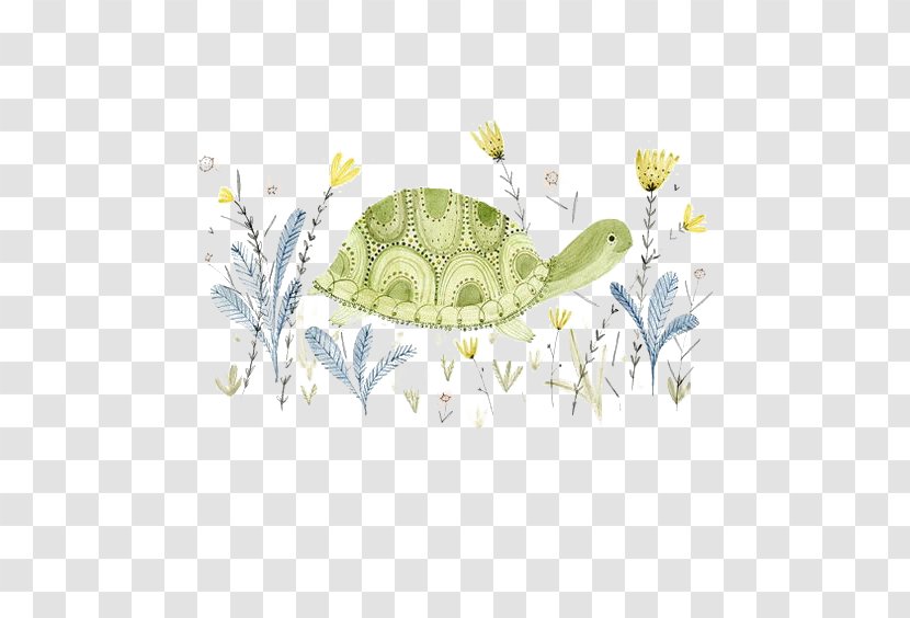 The Little Green Turtle Illustration - Yellow Transparent PNG