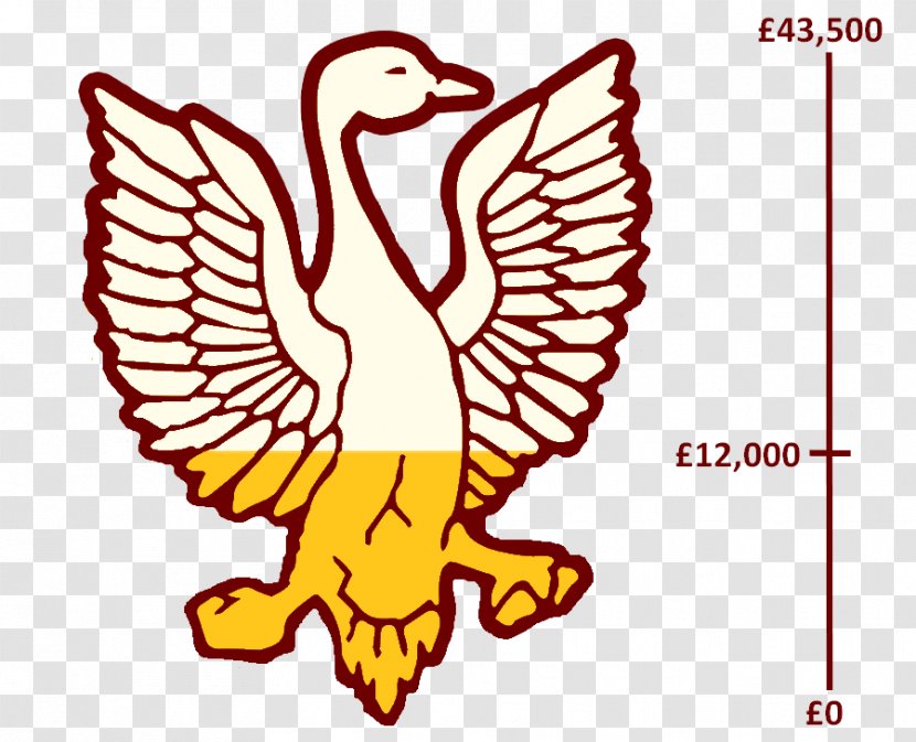 Frimley Cricket Club Osteopathic Consultancy Bird Wireless - Area - Goose Transparent PNG