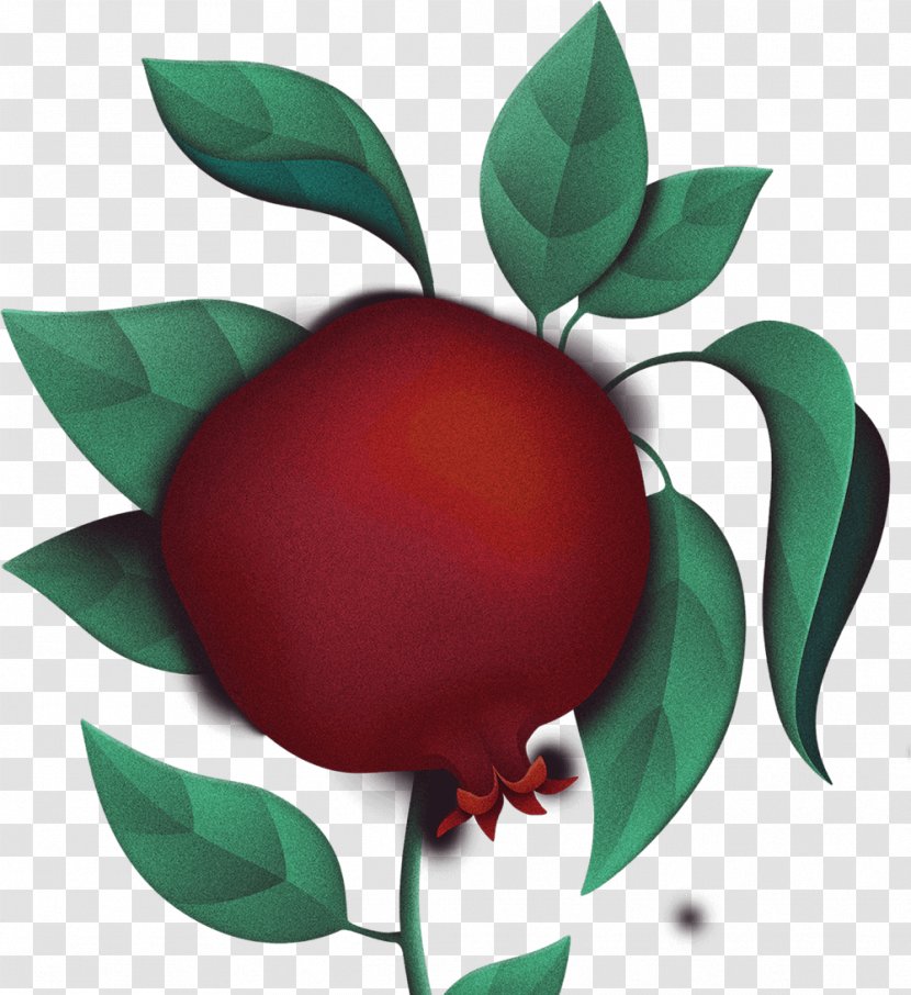 Periorbital Dark Circles Eye Puffiness Concealer Food - Leaf - Pomegranate Transparent PNG